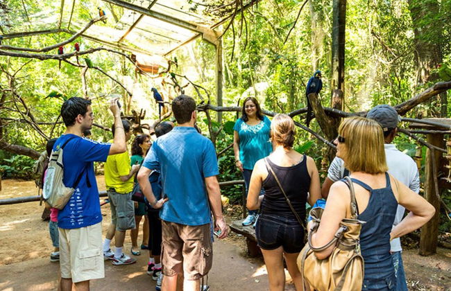 Parque das Aves Ticket - Photo 4
